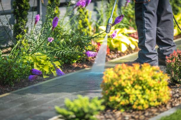 Best Sidewalk and Walkway Pressure Cleaning in Cold Spring, NY
